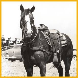 Baldy_ProRodeoHallOfFame_Inductee Baldy_ProRodeoHallOfFame_Inductee