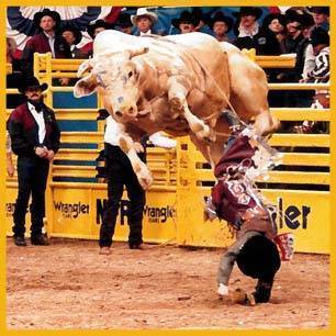 Bodacious_ProRodeoHallOfFame_Inductee Bodacious_ProRodeoHallOfFame_Inductee