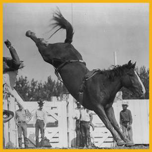 ComeApart_ProRodeoHallOfFame_Inductee ComeApart_ProRodeoHallOfFame_Inductee