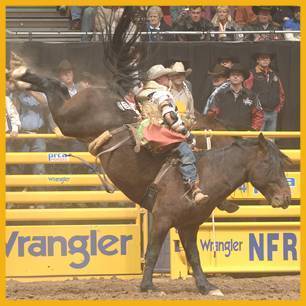 Commotion_ProRodeoHallOfFame_Inductee Commotion_ProRodeoHallOfFame_Inductee