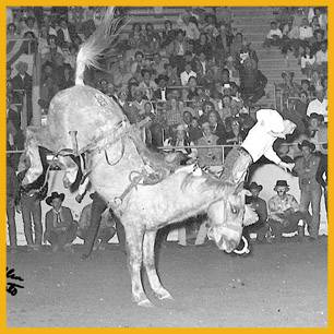 Descent_ProRodeoHallOfFame_Inductee Descent_ProRodeoHallOfFame_Inductee