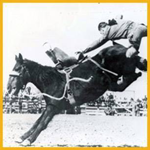 FiveMinutesToMidnight_ProRodeoHallOfFame_Inductee FiveMinutesToMidnight_ProRodeoHallOfFame_Inductee