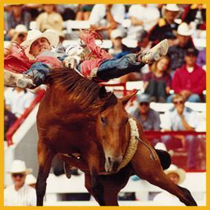 Herman_Wayne_ProRodeoHallOfFame_Inductee Herman_Wayne_ProRodeoHallOfFame_Inductee