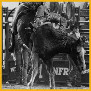 HighTide_ProRodeoHallOfFame_Inductee HighTide_ProRodeoHallOfFame_Inductee