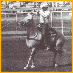 Maggini_Charles_ProRodeoHallOfFame_Inductee Maggini_Charles_ProRodeoHallOfFame_Inductee