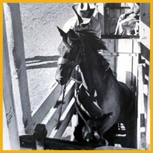 MissKlamath_ProRodeoHallOfFame_Inductee MissKlamath_ProRodeoHallOfFame_Inductee