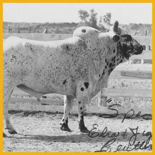 OldSpec_ProRodeoHallOfFame_Inductee OldSpec_ProRodeoHallOfFame_Inductee