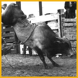 Oscar_ProRodeoHallOfFame_Inductee Oscar_ProRodeoHallOfFame_Inductee