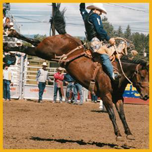 SpringFling_ProRodeoHallOfFame_Inductee SpringFling_ProRodeoHallOfFame_Inductee