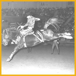 TrailsEnd_ProRodeoHallOfFame_Inductee TrailsEnd_ProRodeoHallOfFame_Inductee