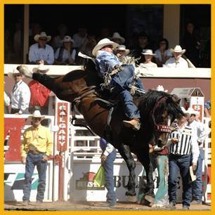 G-65 Grated Coconut _ProRodeoHallOfFame_Inductee G-65 Grated Coconut _ProRodeoHallOfFame_Inductee