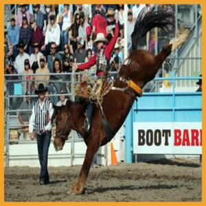 SB Brody Cress Arena record 92 on Beutler & Son Nutrena's Killer Bee 178 on 2 (3) copy SB Brody Cress Arena record 92 on Beutler & Son Nutrena's Killer Bee 178 on 2 (3) copy